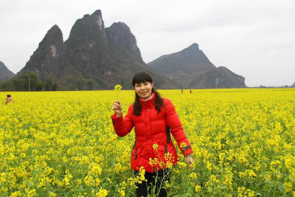 2014年度优秀本科教学管理工作者-教务处